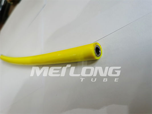 UNS S32750 encapsulou a linha de controle nylon super de Rilsan do duplex 2507