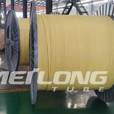 TP316L PVDF encapsulou a linha de controle Flatpack com alta pressão de dois tubos