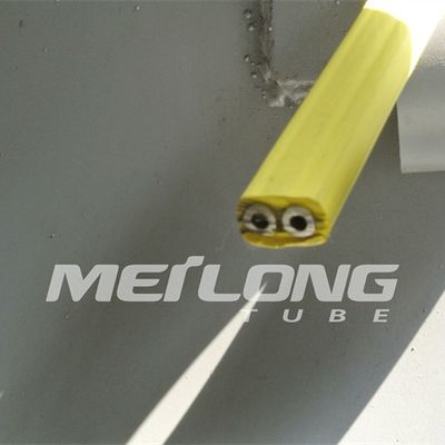 TP316L PVDF encapsulou a linha de controle Flatpack com alta pressão de dois tubos